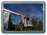 Cherry Picker2