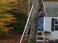 Wrapping the trees - 7 - 900 lights per tree