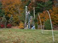 Mega-Tree goes up for year 4