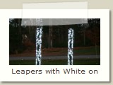 Leapers with White on