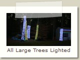 All Large Trees Lighted