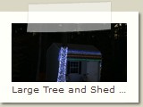 Large Tree and Shed Lighted