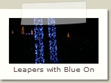 Leapers with Blue On