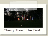 Cherry Tree - the First Tree that had Lights