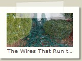 The Wires That Run the Show
