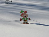 Rope Light Elf after the Snow