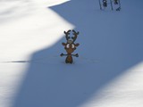 Bet this Reindeer wishes he could fly away from the Snow