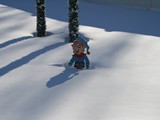 Snow Happy Elf