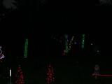 Green Trees
