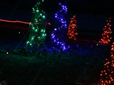 Sprial Trees