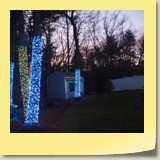 Trees & shed